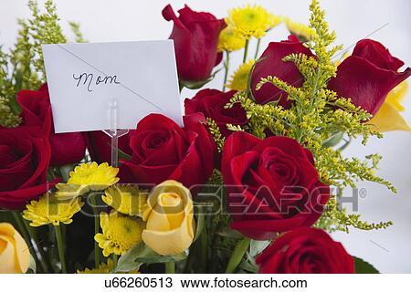 Studio shot of bouquet of roses and daisies for mother View Large Photo Image Stock Image - Studio shot of bouquet of roses and daisies for mother. Fotosearch