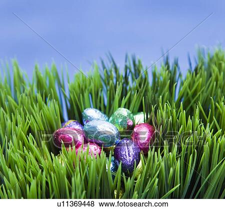 Studio shot of chocolate Easter eggs in grass View Large Photo Image Stock Photo - Studio shot of chocolate Easter eggs in grass. Fotosearch