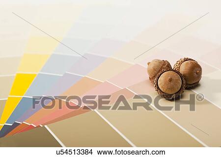 Picture - Studio shot of color samples and acorns. Fotosearch