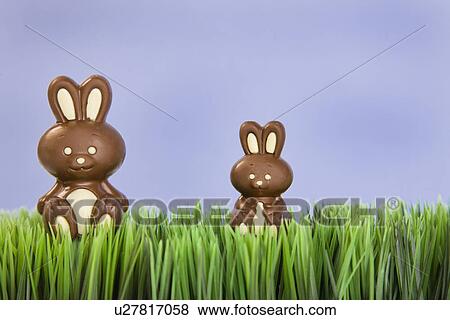 Studio shot of Easter chocolate bunnies in grass View Large Photo Image Stock Photo - Studio shot of Easter chocolate bunnies in grass. Fotosearch
