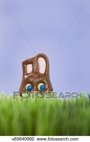 Stock Image - Studio shot of Easter chocolate bunny in grass. Fotosearch