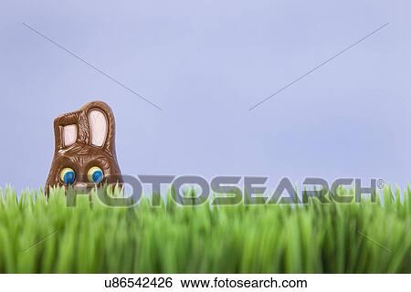 Studio shot of Easter chocolate bunny in grass View Large Photo Image Stock Photograph - Studio shot of Easter chocolate bunny in grass. Fotosearch