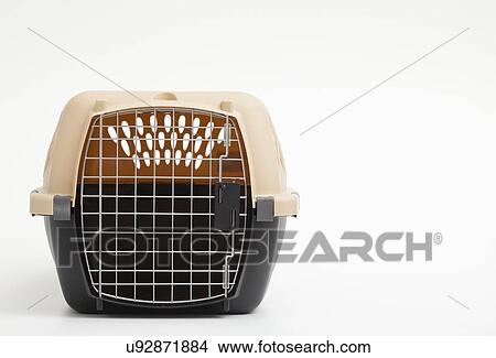 Picture - Studio shot of pet carrier. Fotosearch