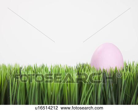 Stock Image - Studio shot of single pink Easter egg in grass. Fotosearch