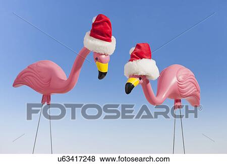 Studio shot of two flamingo's figurines wearing santa hats View Large Photo Image Stock Photo - Studio shot of two flamingo's figurines wearing santa hats. Fotosearch