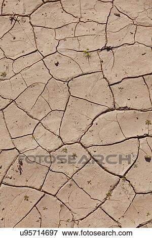 Stock Photo - USA, Arizona, Dry soil. Fotosearch
