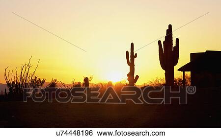 Stock Photograph - USA, Arizona, Landscape at dusk. Fotosearch