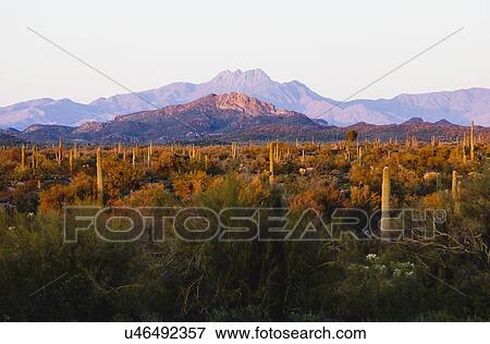 Stock Photo - USA, Arizona, Landscape. Fotosearch