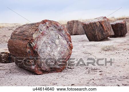 Stock Image - USA, Arizona, Petrified Forest National Park, View of desert and rock formations. Fotosearch
