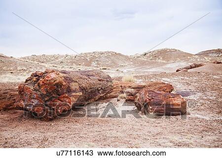 USA, Arizona, Petrified Forest National Park, View of desert and rock formations View Large Photo Image Stock Image - USA, Arizona, Petrified Forest National Park, View of desert and rock formations. Fotosearch