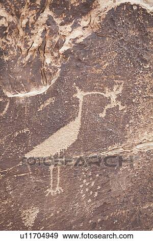 USA, Arizona, Petrified Forest National Park, Close-up of rock art View Large Photo Image Stock Photo - USA, Arizona, Petrified Forest National Park, Close-up of rock art. Fotosearch