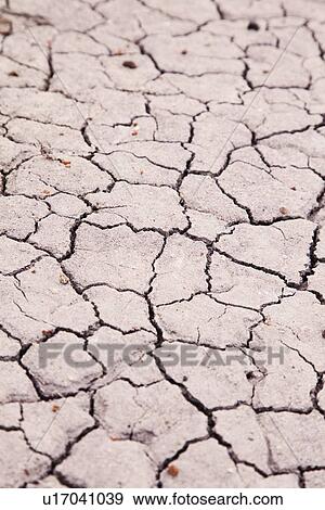 Stock Photo - USA, Arizona, Petrified Forest National Park, Cracked ground. Fotosearch
