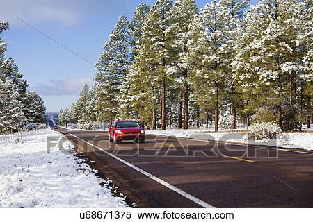USA, Arizona, Red car on road in winter scenery View Large Photo Image Stock Photography - USA, Arizona, Red car on road in winter scenery. Fotosearch