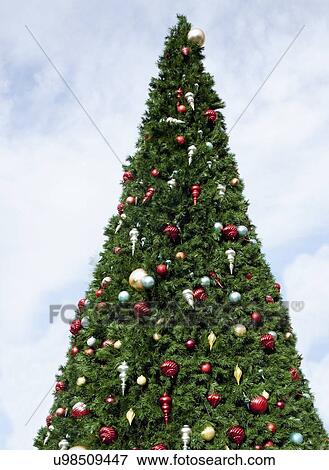Stock Photo - USA, California, Corte Madera, Decorated Christmas tree against sky. Fotosearch