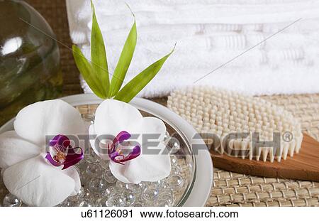 USA, California, Fairfax, Body brush and orchid flowers in health spa View Large Photo Image Stock Image - USA, California, Fairfax, Body brush and orchid flowers in health spa. Fotosearch