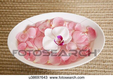 Stock Image - USA, California, Fairfax, Bowl with rose petals and orchid. Fotosearch