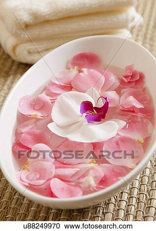 Stock Image - USA, California, Fairfax, Bowl with rose petals and orchid. Fotosearch