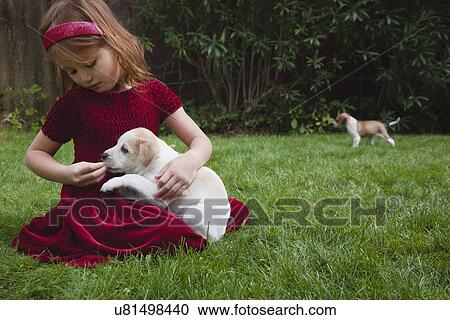 USA, California, Fairfax, girl (4-5) feeding Beagle puppy in garden View Large Photo Image Stock Image - USA, California, Fairfax, girl (4-5) feeding Beagle puppy in garden. Fotosearch