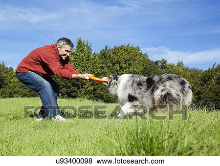USA, California, Fairfax, Mature man playing with dog View Large Photo Image Stock Photo - USA, California, Fairfax, Mature man playing with dog. Fotosearch