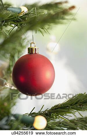 USA, California, La Quinta, Red Christmas ornament and lights on Christmas tree View Large Photo Image Stock Photo - USA, California, La Quinta, Red Christmas ornament and lights on Christmas tree. Fotosearch