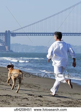 Stock Image - USA, California, San Francisco, Man jogging with dog on beach. Fotosearch