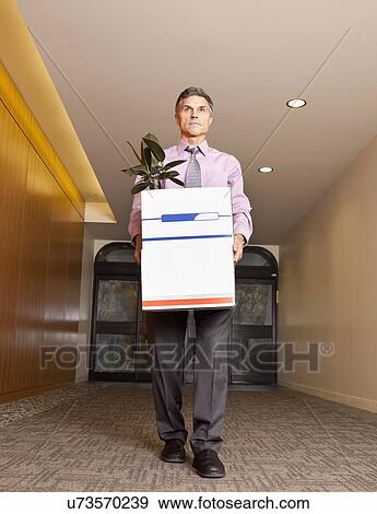 USA, California, San Rafael, business man carrying cardboard box with potted plant View Large Photo Image Stock Photo - USA, California, San Rafael, business man carrying cardboard box with potted plant. Fotosearch
