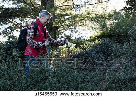 USA, California, Tiburon, Man walking through forest View Large Photo Image Stock Photo - USA, California, Tiburon, Man walking through forest. Fotosearch
