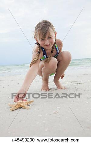 Stock Image - USA, Florida, St. Pete Beach, Girl (8-9) reaching for starfish on beach. Fotosearch