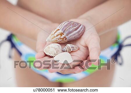 Stock Image - USA, Florida, St. Pete Beach, Girl (8-9) holding seashells on beach, mid section. Fotosearch