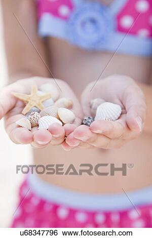 Stock Photograph - USA, Florida, St. Pete Beach, Girl's (8-9) hands holding sea shells. Fotosearch