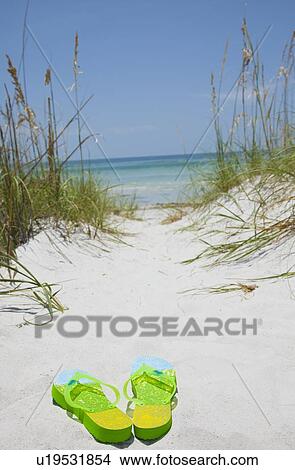 USA, Florida, St. Petersburg, Pair of flip flops on sandy beach View Large Photo Image Picture - USA, Florida, St. Petersburg, Pair of flip flops on sandy beach. Fotosearch