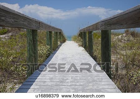 USA, Florida, St. Petersburg, Pathway on beach View Large Photo Image Stock Photo - USA, Florida, St. Petersburg, Pathway on beach. Fotosearch