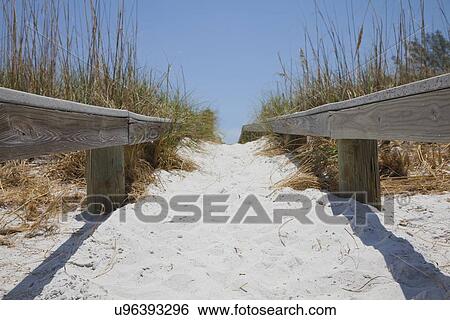 USA, Florida, St. Petersburg, Pathway on beach View Large Photo Image Stock Photograph - USA, Florida, St. Petersburg, Pathway on beach. Fotosearch