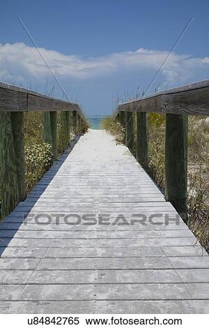 USA, Florida, St. Petersburg, Pathway on beach View Large Photo Image Stock Photography - USA, Florida, St. Petersburg, Pathway on beach. Fotosearch