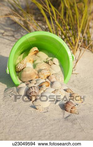 USA, Florida, St. Petersburg, plastic bucket filled with sand and seashells View Large Photo Image Picture - USA, Florida, St. Petersburg, plastic bucket filled with sand and seashells. Fotosearch