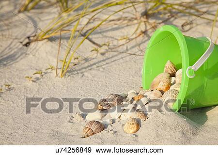 Stock Photo - USA, Florida, St. Petersburg, plastic bucket filled with sand and seashells. Fotosearch