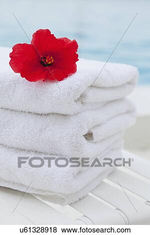 Stock Photo - USA, Florida, St. Petersburg, Red hibiscus flower on stack of folded towels. Fotosearch