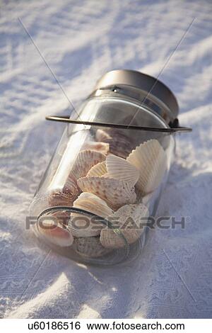 USA, Florida, St. Petersburg, shells in jar View Large Photo Image Stock Photograph - USA, Florida, St. Petersburg, shells in jar. Fotosearch