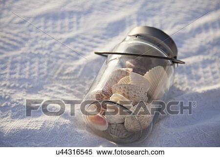 USA, Florida, St. Petersburg, shells in jar View Large Photo Image Stock Photography - USA, Florida, St. Petersburg, shells in jar. Fotosearch