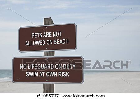 USA, Florida, St. Petersburg, warning sign View Large Photo Image Stock Photo - USA, Florida, St. Petersburg, warning sign. Fotosearch