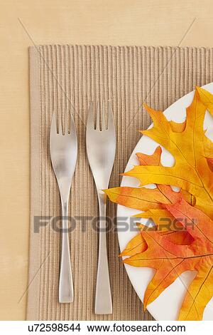 USA, Illinois, Metamora, Autumn leaves on plate View Large Photo Image Picture - USA, Illinois, Metamora, Autumn leaves on plate. Fotosearch
