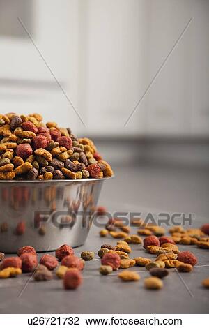 Stock Image - USA, Illinois, Metamora, Bowl filled with pet food. Fotosearch