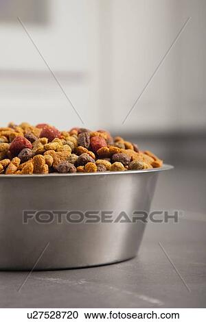 Stock Image - USA, Illinois, Metamora, Bowl filled with pet food. Fotosearch