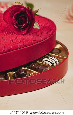 USA, Illinois, Metamora, Box of pralines and red rose for St. Valentine's day View Large Photo Image Stock Photo - USA, Illinois, Metamora, Box of pralines and red rose for St. Valentine's day. Fotosearch