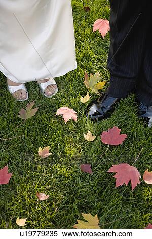 Stock Photography - USA, Illinois, Metamora, Bride and groom standing on grass with leaves. Fotosearch