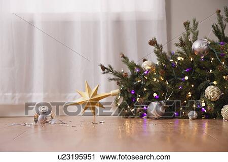 Stock Image - USA, Illinois, Metamora, Broken christmas bauble near fallen christmas tree. Fotosearch