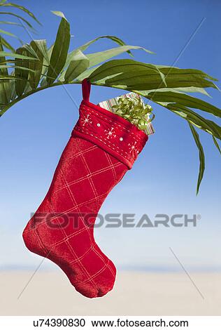 Stock Image - USA. Illinois, Metamora, Christmas sock with gift inside hanging on palm leaf. Fotosearch