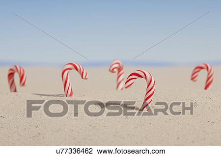 USA, Illinois, Metamora, Christmas candy canes buried in sand View Large Photo Image Stock Image - USA, Illinois, Metamora, Christmas candy canes buried in sand. Fotosearch