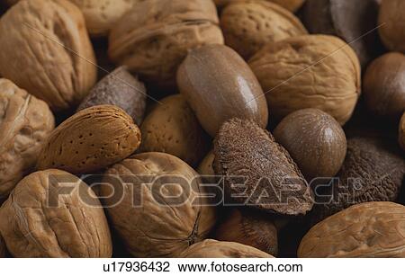 USA, Illinois, Metamora, Close up of various nuts View Large Photo Image Stock Image - USA, Illinois, Metamora, Close up of various nuts. Fotosearch