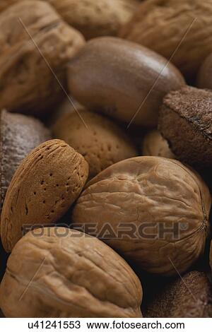 Stock Image - USA, Illinois, Metamora, Close up of various nuts. Fotosearch